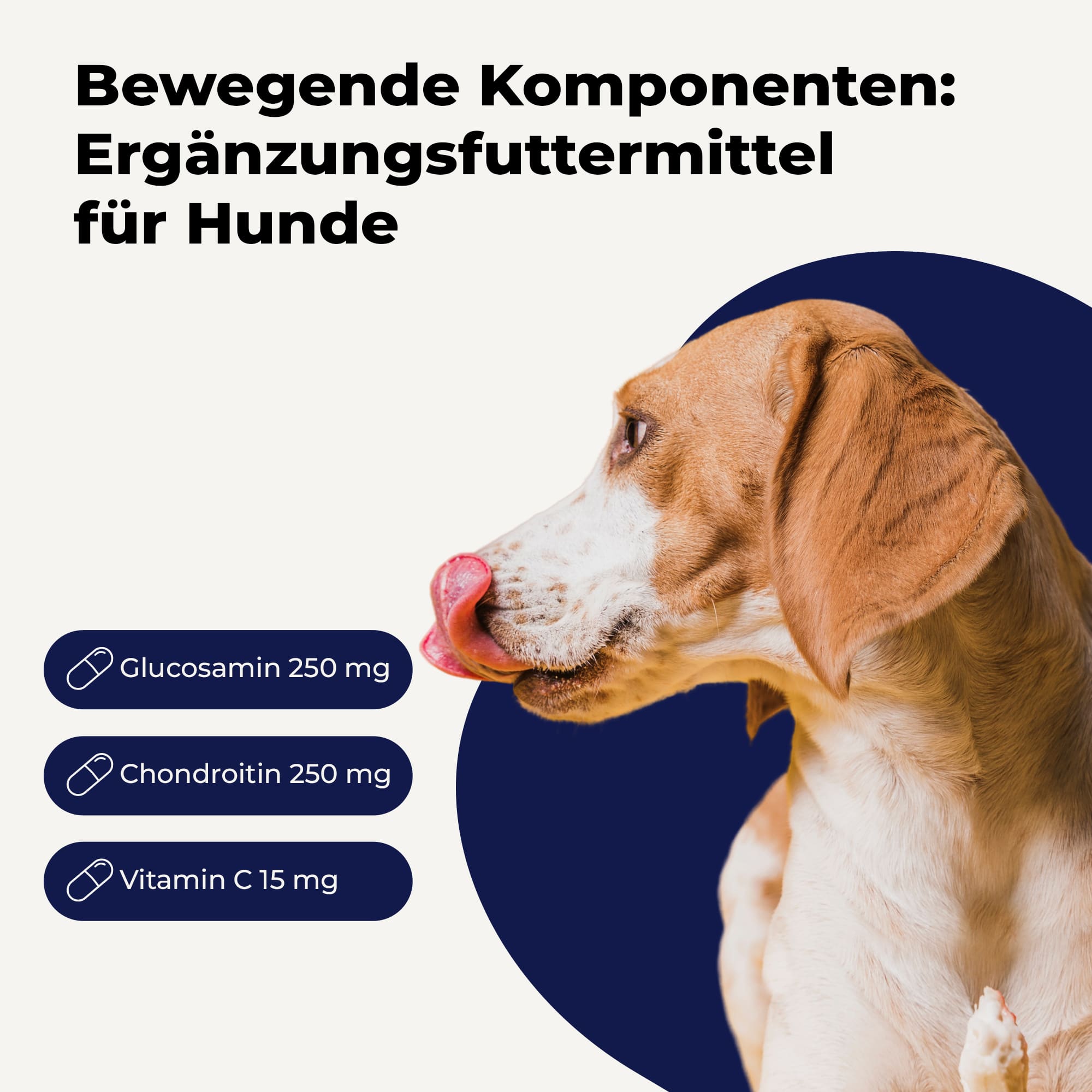 avitale-vetline-futtererg-nzungsmittel-hunde-glucosamin-kapseln image 2